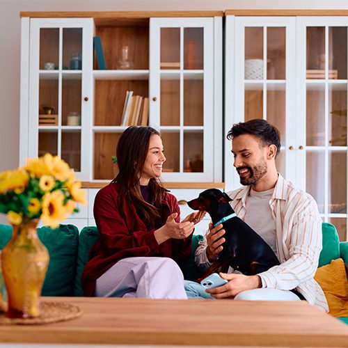 Couple sitting on couch with a pet dog.